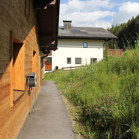 Ski In/Ski Out Ferienhaus Berghof By Schladmingurlaub Extérieur photo